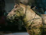 CHINA__0948