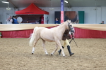 SBM_17460