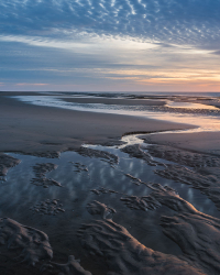 East Norfolk Coast