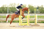 SBM_009295