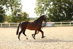 SBM_08574