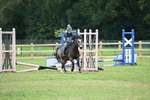WJ6_0305