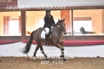 BPP_7171