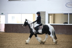 Class 1 - Lead Rein portfolio