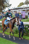 Race 6 4.55pm New To York Rio Brazilian Handicap portfolio