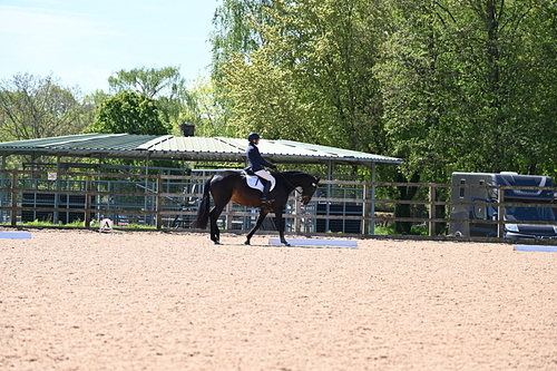 WJ6_8831
