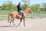 BPP_5516