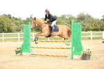 SBM_006383