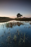 Kelly Hall Tarn, Lake District