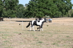 WJ6_7236