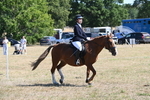 WJ6_8346