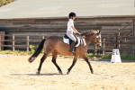 SBM_010617