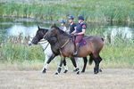 WJ7_8353