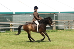 SBM_06825