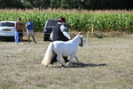 WJ6_4802