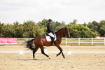 SBM_002624