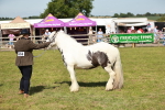 SBM_08615