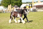 SBM_08611