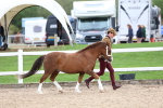 SBM_05880