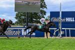 010826-Race 6-La Peregrina-3359