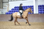 SBM_000981
