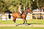 SBM_26465