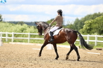 SBM_002171