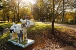 22. Big Dogs Little Dogs, Bute Park