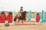 SBM_007307