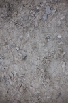 SBM_006336