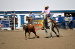 3HRodeo8-11-25_PRCASteer_07955_CTownsend
