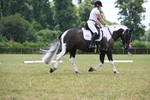 WJ6_6919