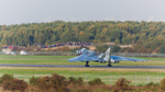 _MG_5951