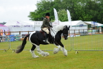 SBM_00908