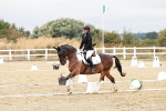 SBM_002931