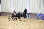 Class 13  - HHS Championship Intl Hackney Horse to a Show Wagon portfolio