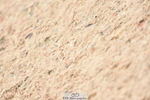 231013A-132448-01801