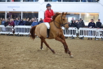 SBM_003771