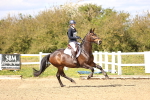 SBM_002631