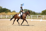 SBM_012009