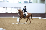 SBM_001376