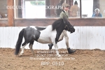 BPP_0510