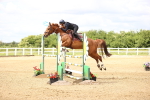 SBM_007995