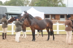 SBM_07776