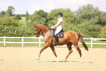 SBM_002237