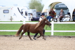 SBM_05868