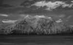 Lyngsalpene