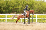 SBM_003871