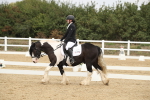 SBM_001281