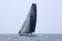 210703 PEGASUS OF NORTHUMBERLAND  GBR715R 5T7A9499_Edit